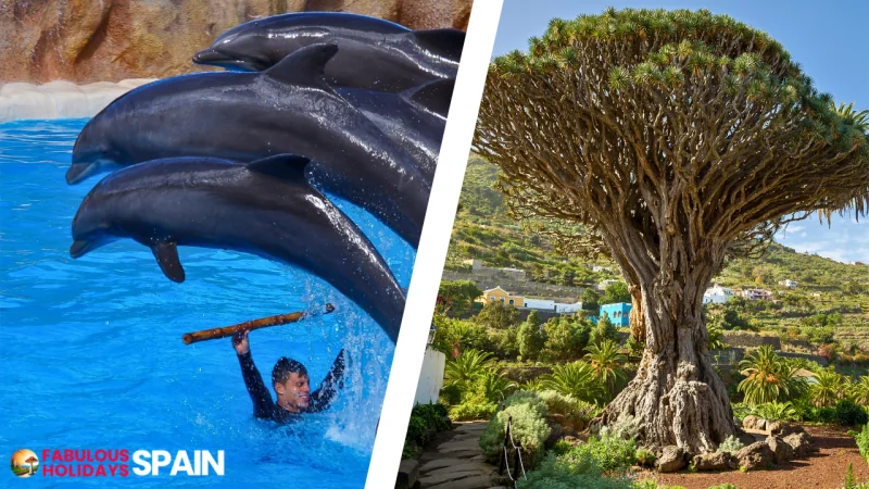 Activities in Canary islands