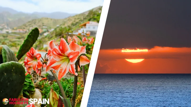 La Gomera nature and sunset