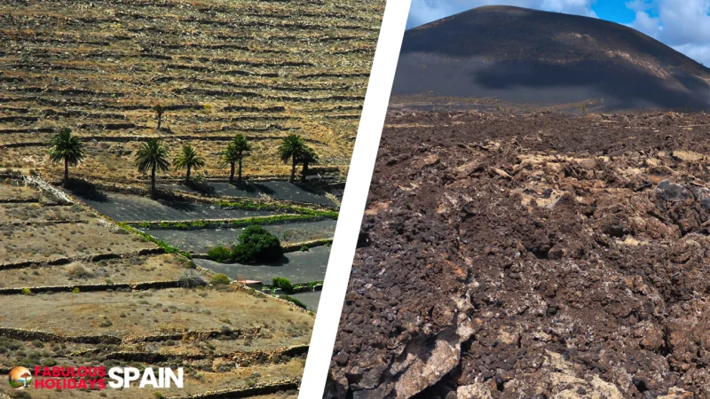 Vulcanic soil of Lanzarote, Canary Islands, Spain